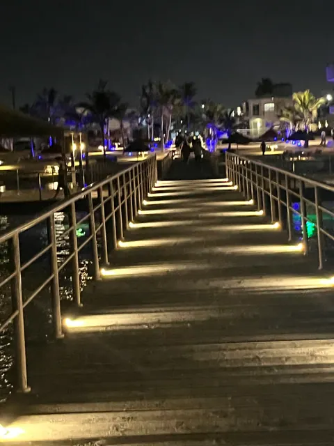 مطلوب شريك لفتح شركة تسويق