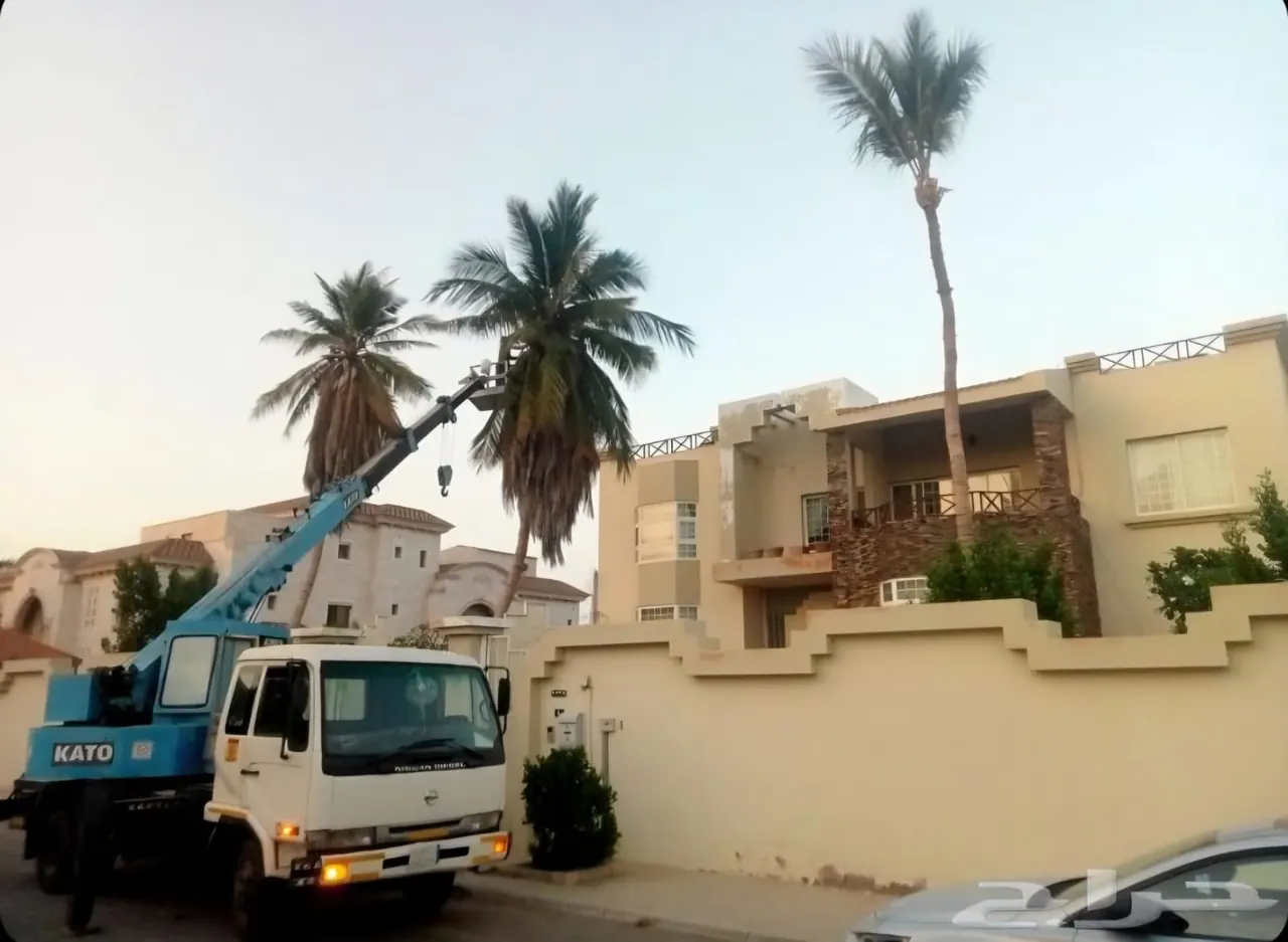 قلع قشع نخل قص تقطيع شجر تنظيف نقل في بوابة البيع و الشراء