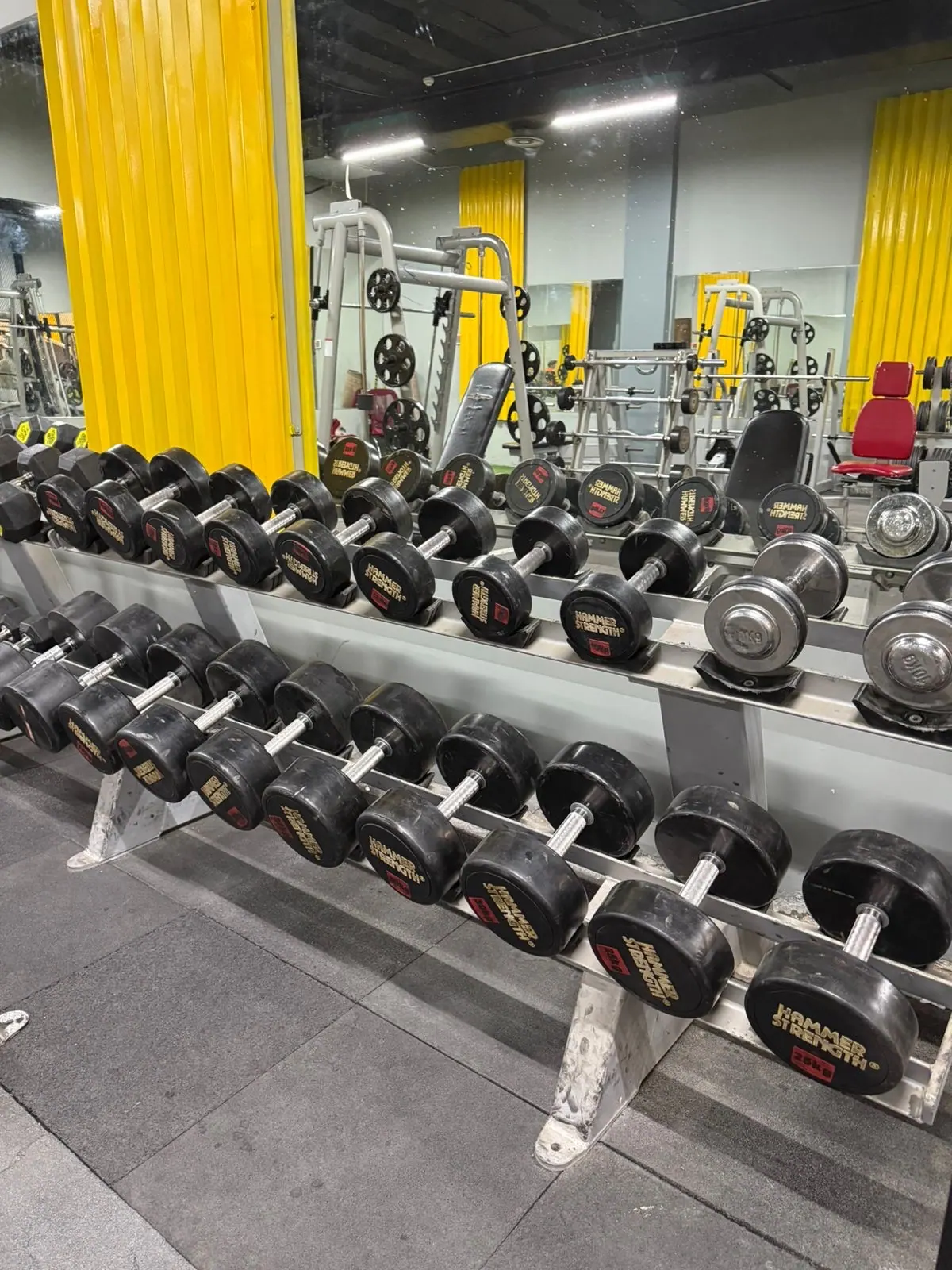 فرصه استثماريه نادي رياضي GYM